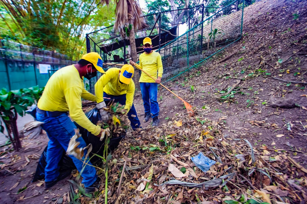 reos-en-fase-de-confianza-realizan-obras-de-mantenimiento-a-instalaciones-del-parque-zoologico-nacional